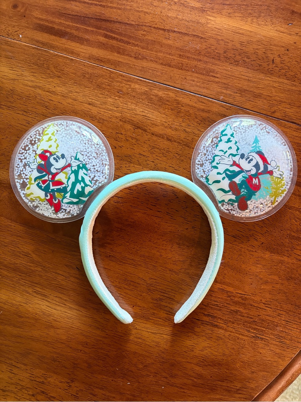 Disney Christmas Snow Globe Ears